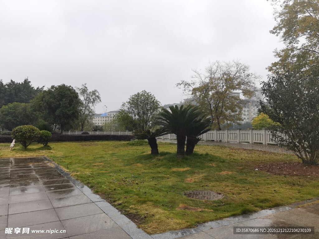 雨后庭院景观