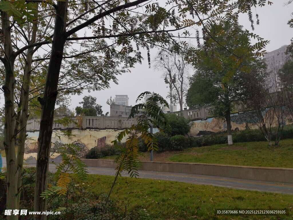 雾中静谧的户外园林景色