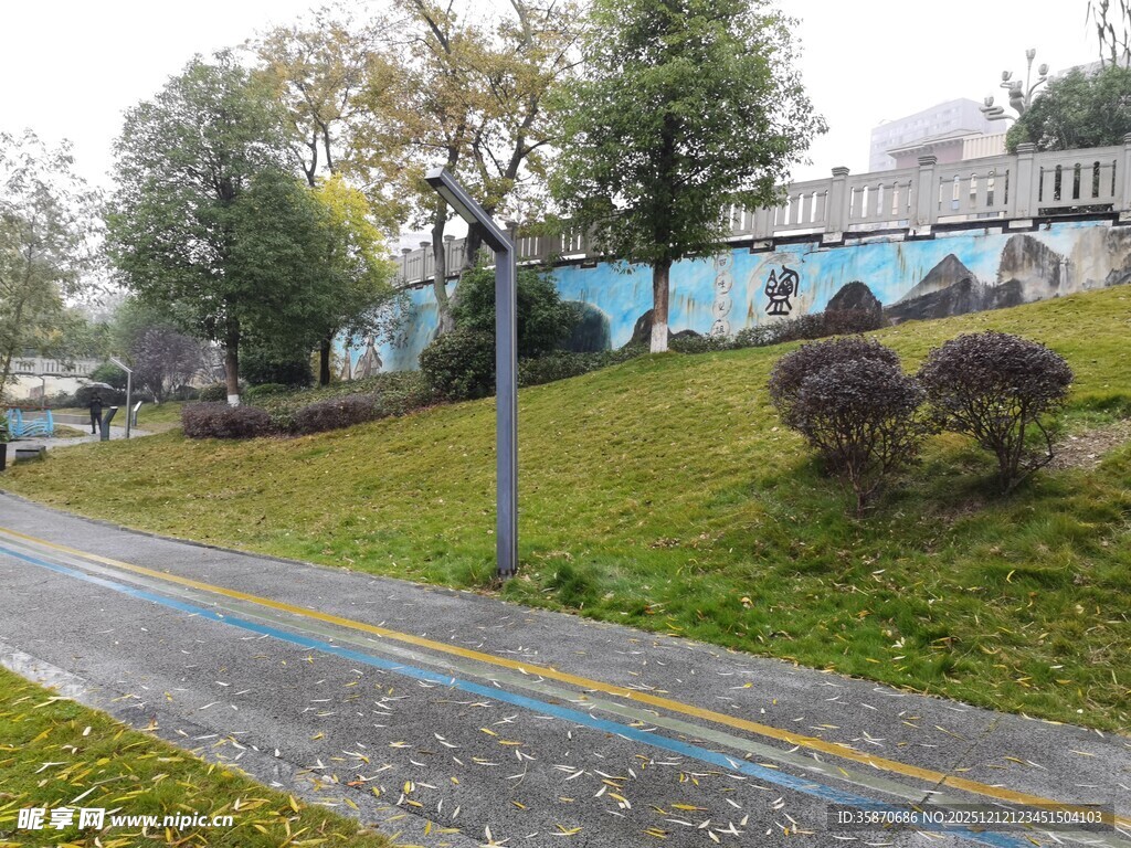 路边绿意盎然的景致