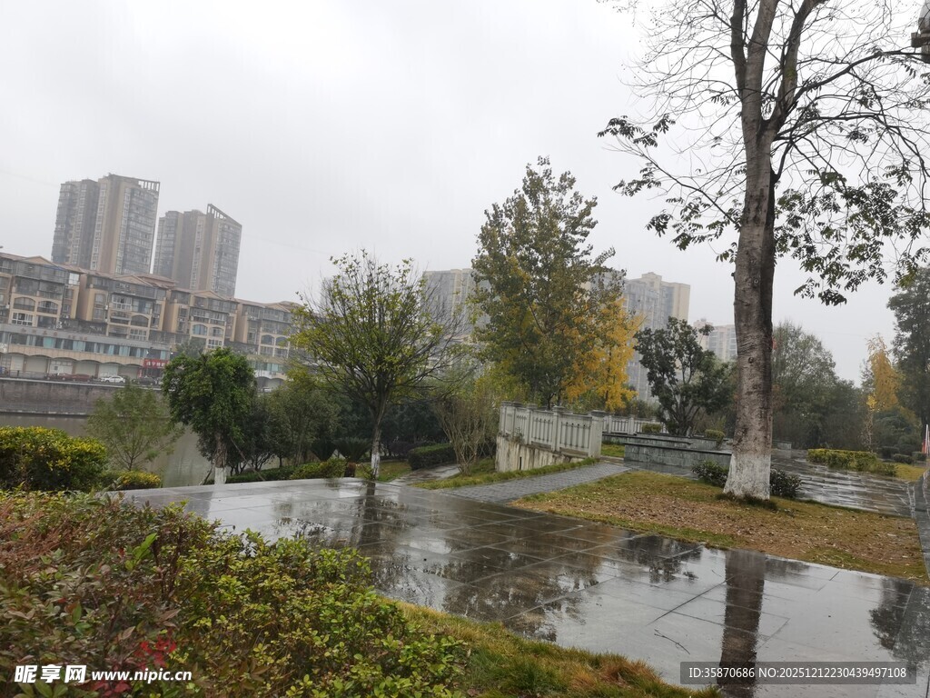 雨中城市公园积水景观
