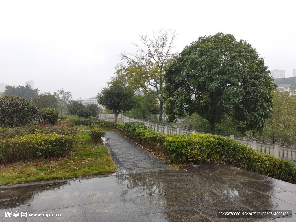 雨后湿润的林间小道