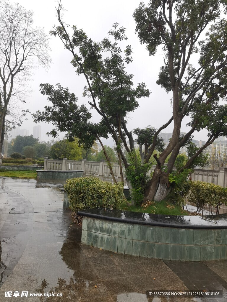 雨中园林景观一角