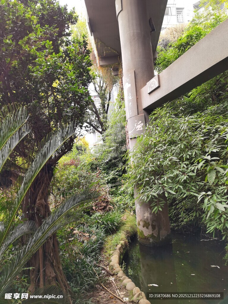 城市中的自然绿意景观