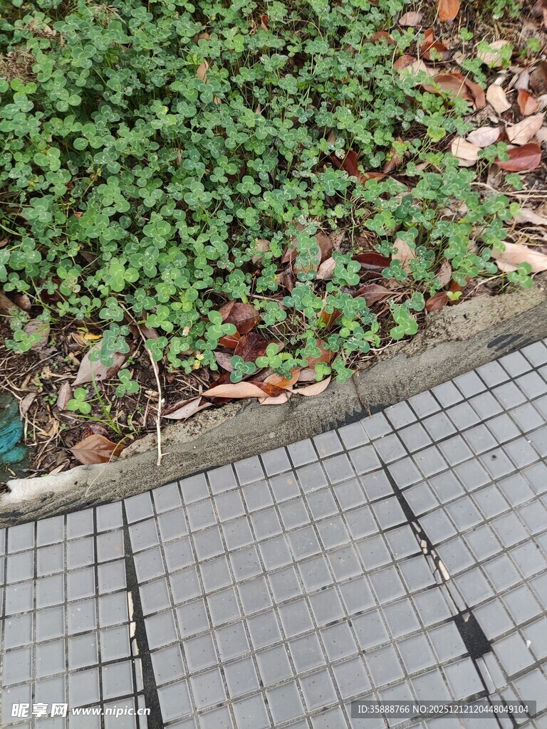 路边绿植与灰色砖块景观