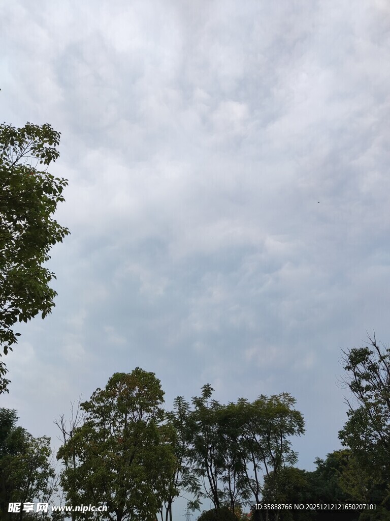 林间天空云层与绿树相映