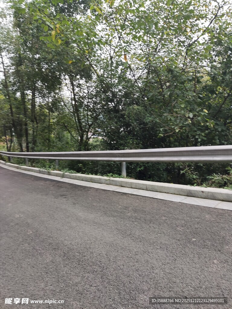 公路旁绿树成荫的景致