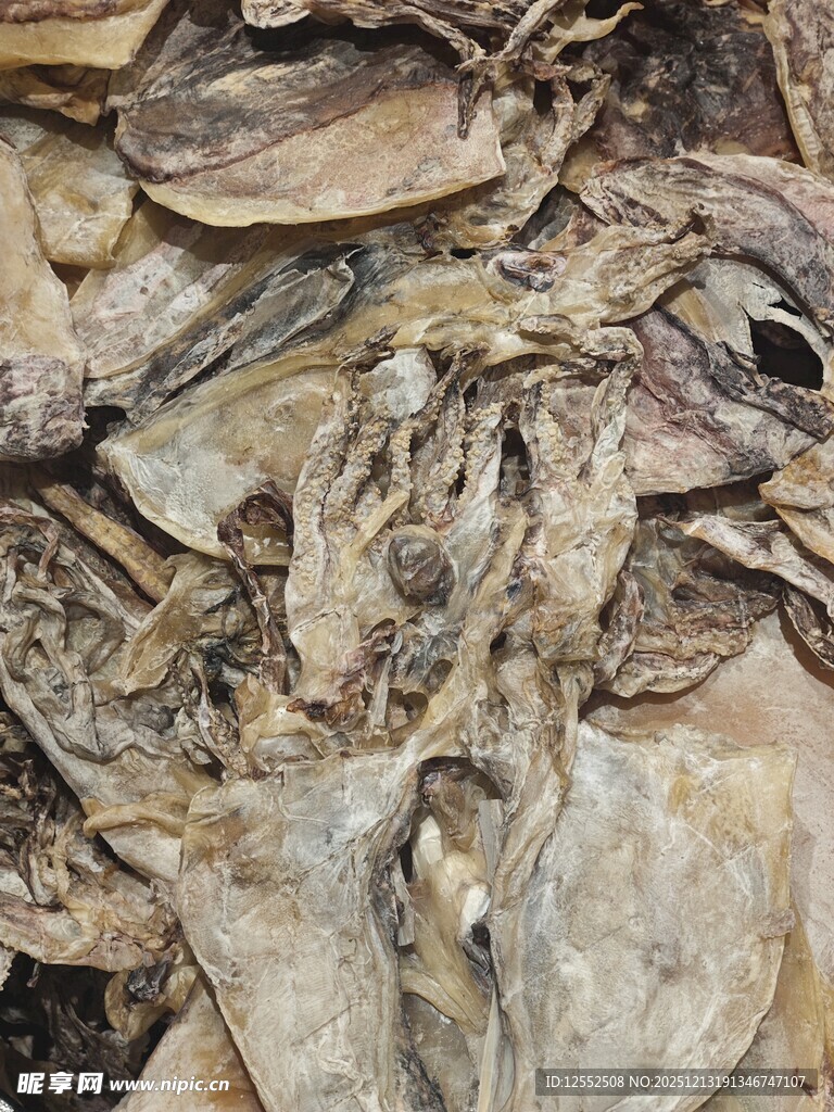 干鱿鱼特写