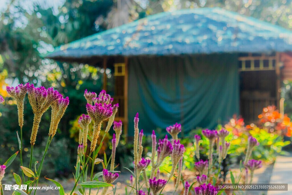 花园中的绿植凉亭