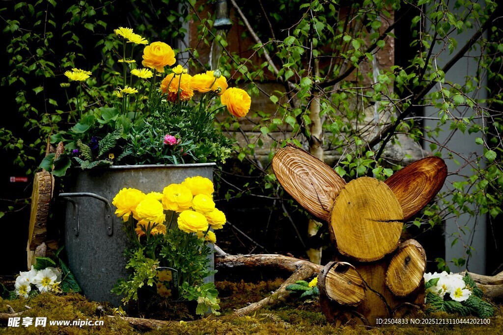 花园中的创意花卉装饰