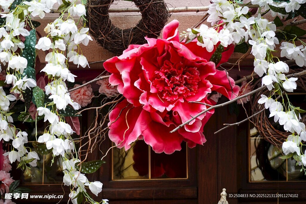 娇艳红牡丹与白花相衬