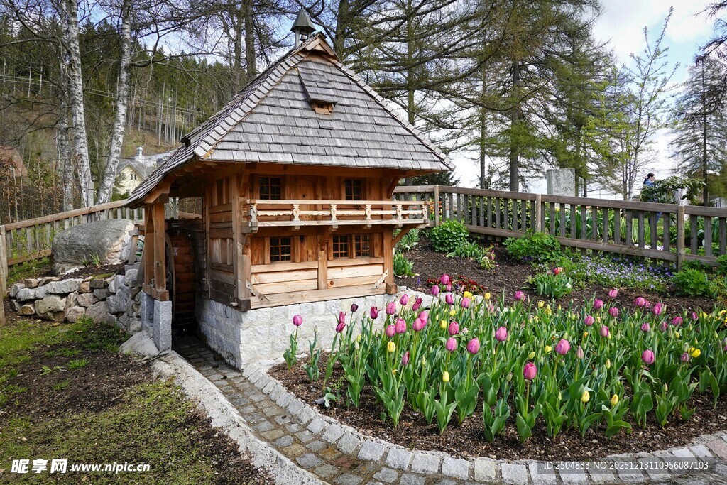 山间木屋旁的缤纷花田