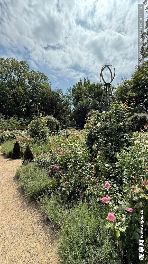 美丽花园中的小径与花卉