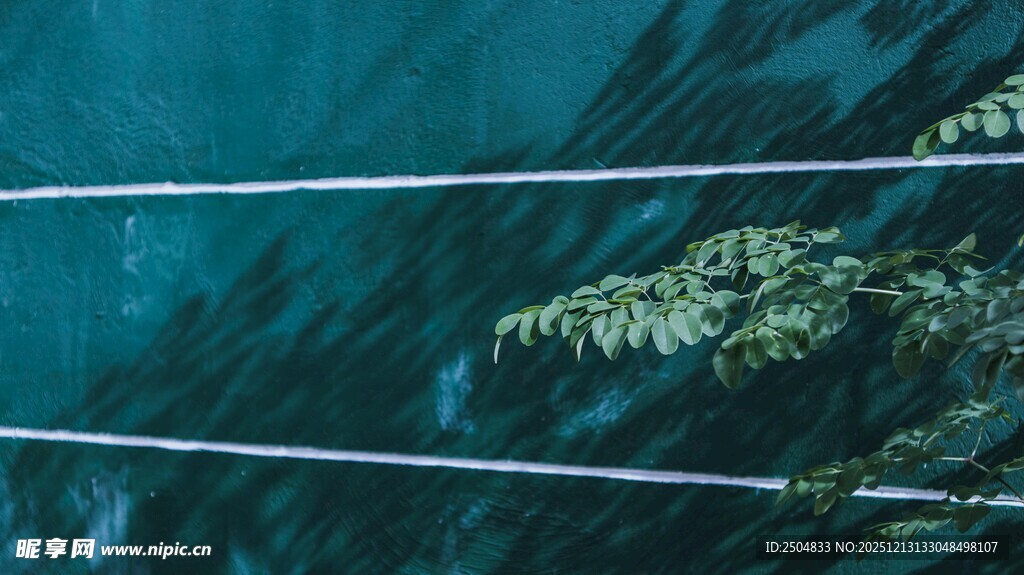 高空俯瞰电线与茂密植被