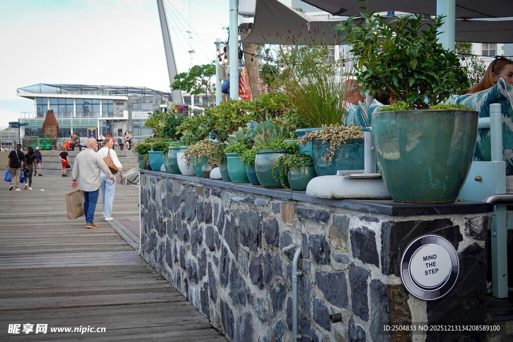 海滨步道上的绿植景观
