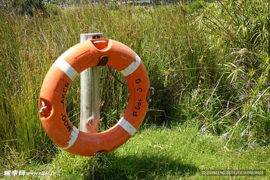 草地上的橙色救生圈
