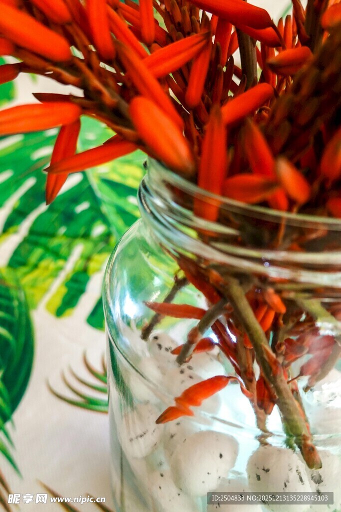 罐中红辣椒与绿植搭配