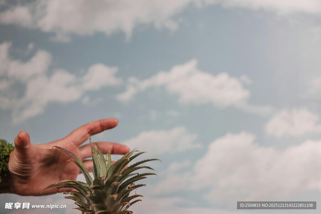 手托菠萝与蓝天白云