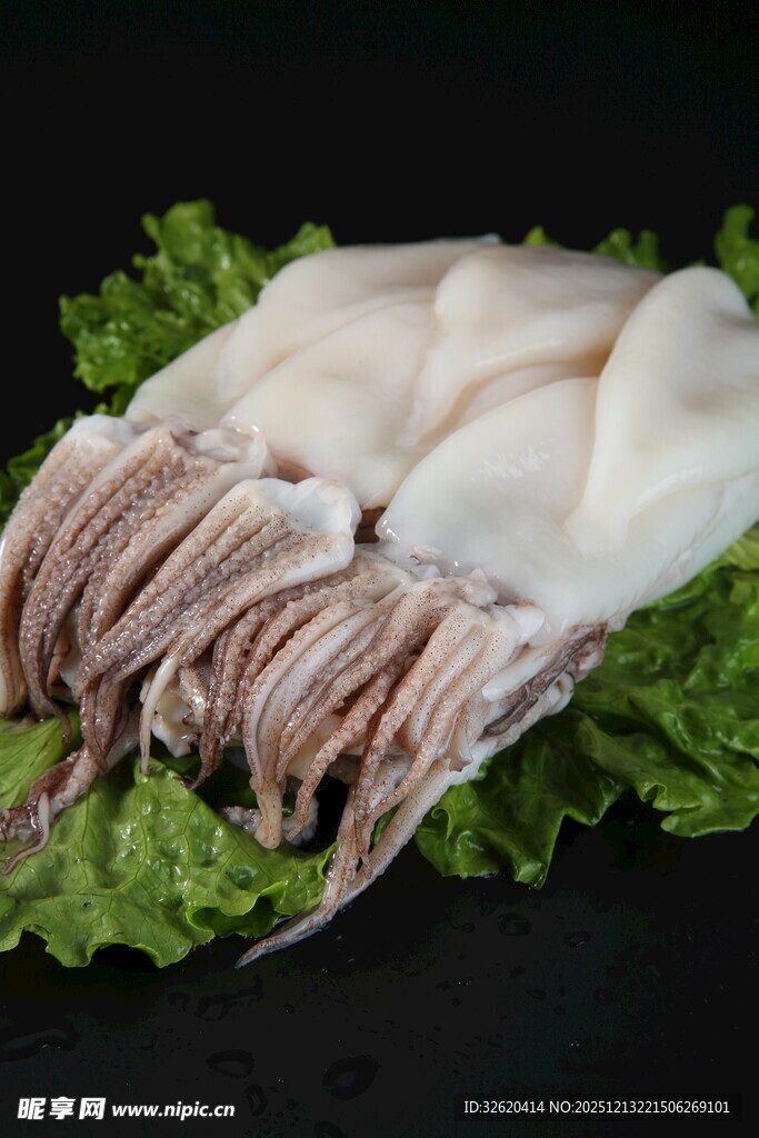 新鲜鱿鱼