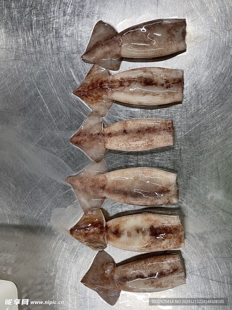 新鲜鱿鱼