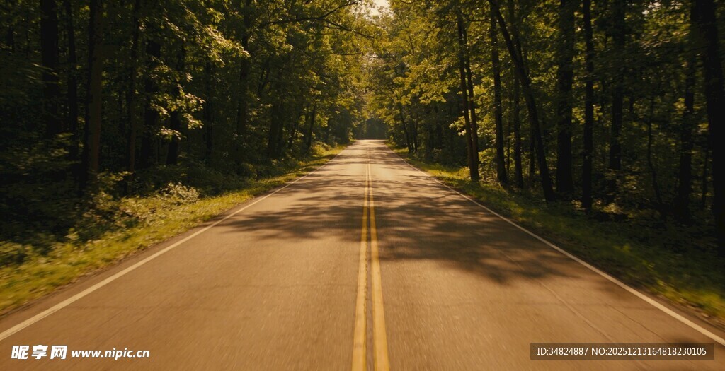 林间公路阳光洒落的静谧