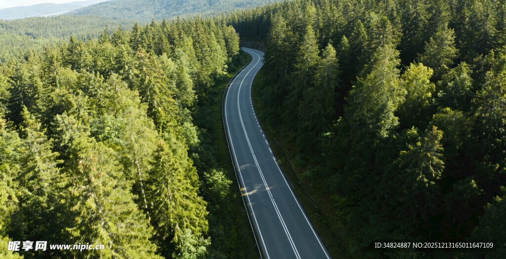 蜿蜒公路穿行茂密森林