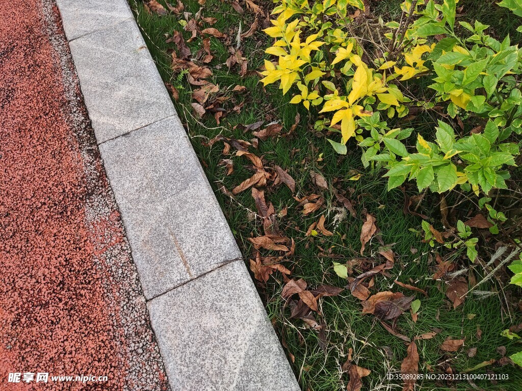 路边多彩植物景观