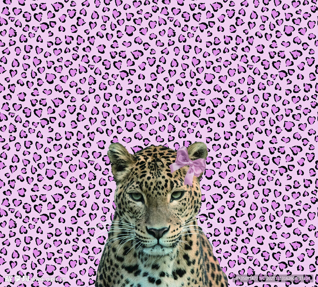 紫色豹纹背景下的猎豹