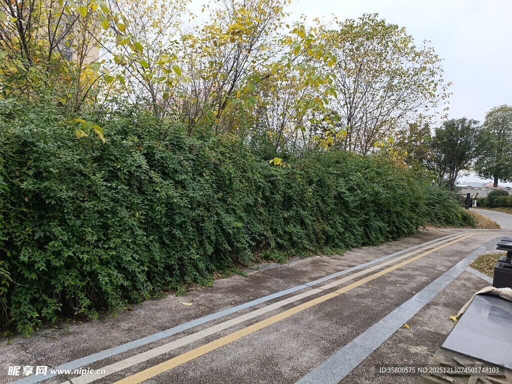 户外绿植墙景观