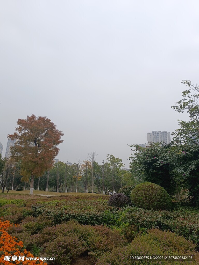 秋日公园多彩景致