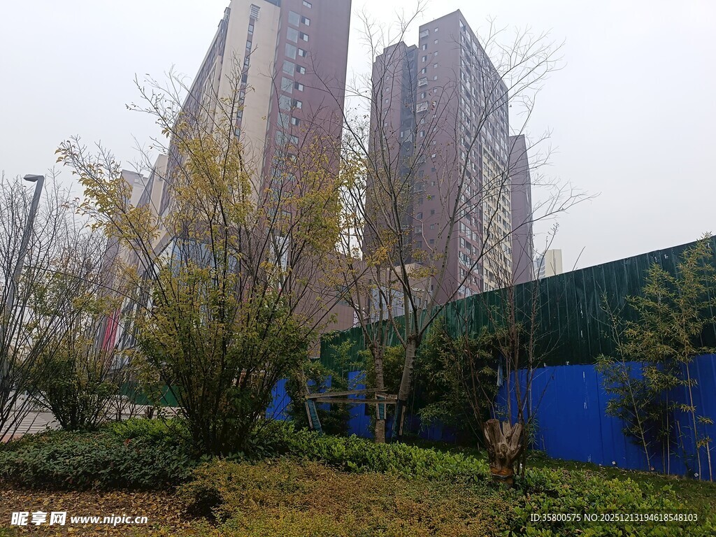 城市绿植与高楼景观