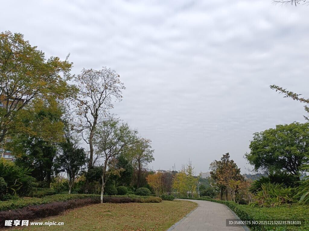 宁静公园小径风景