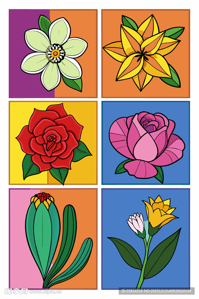 多彩花卉插画集合