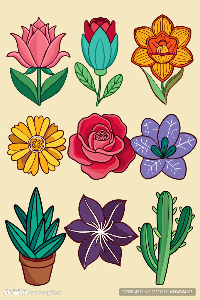 多彩花卉植物插画图案