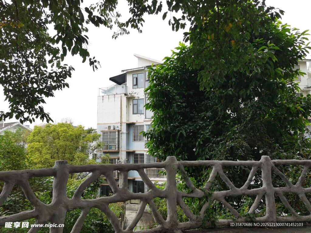 木桥旁的绿植与白色建筑