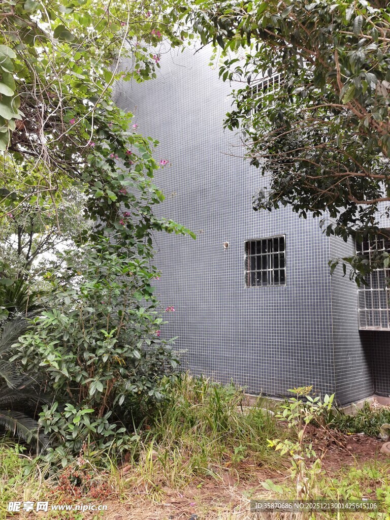 被绿植环绕的灰色建筑