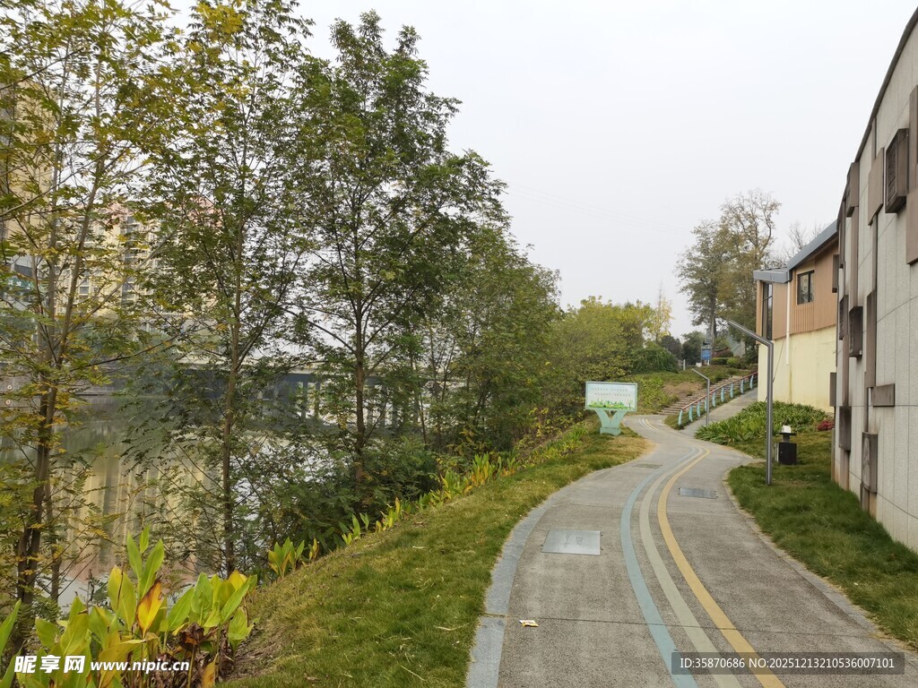 蜿蜒小路旁的葱郁景致