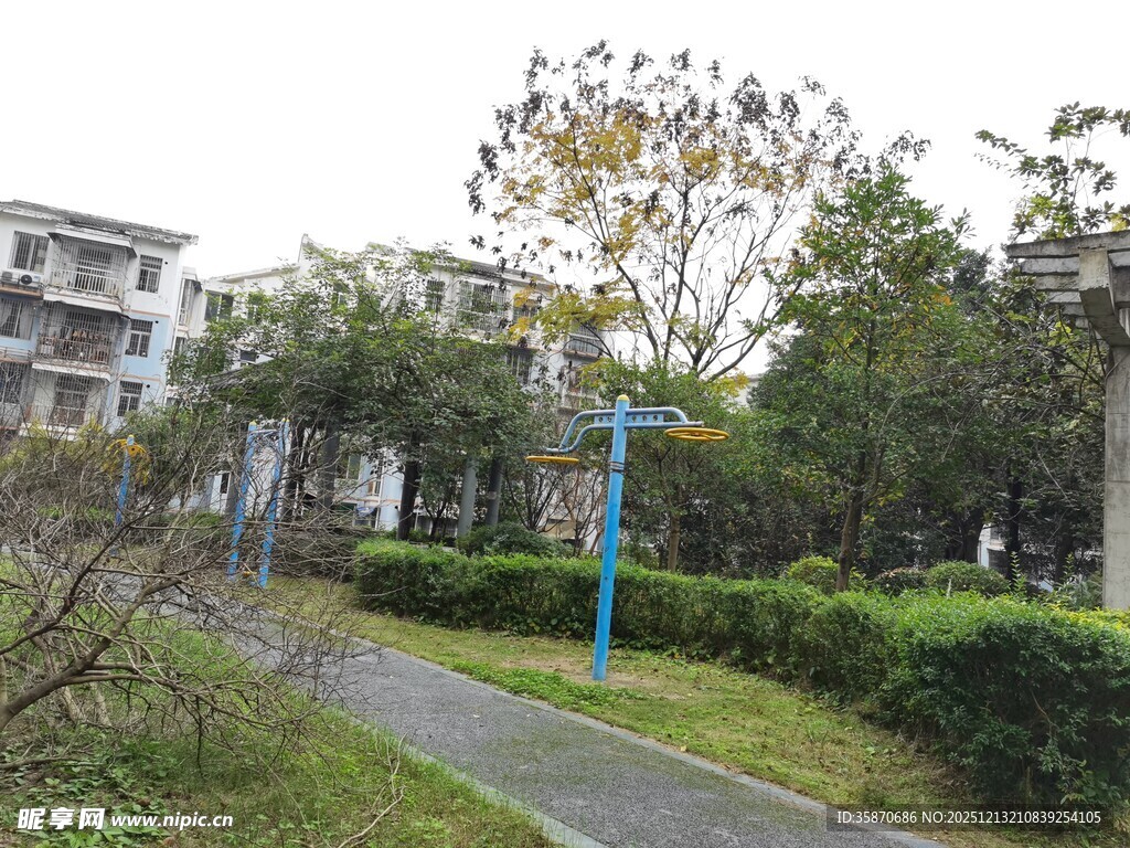 小区内的绿化小径景观