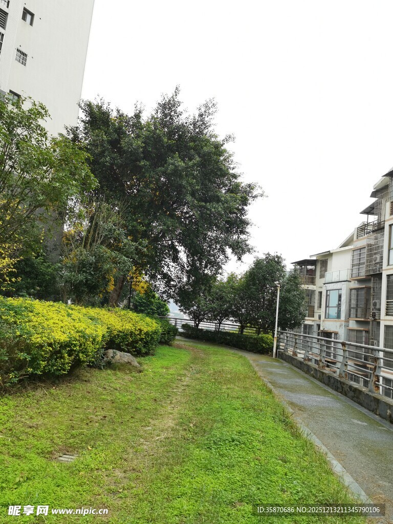 小区绿地旁的幽静小道