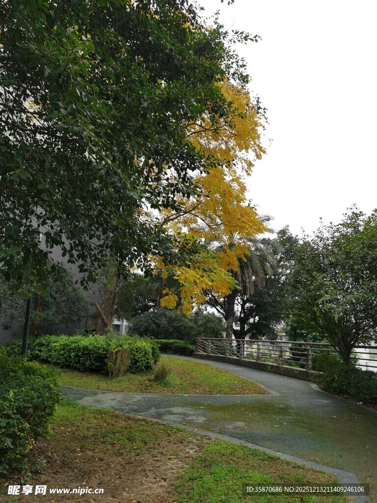 秋日静谧园林小道景色