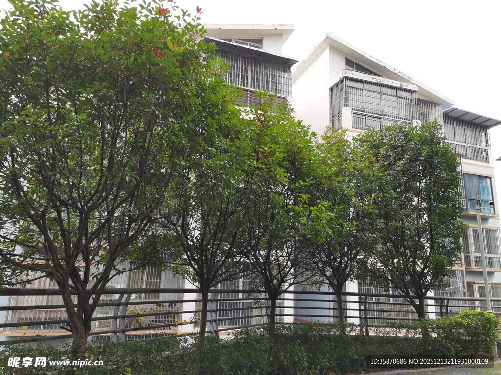 现代风格住宅旁绿树环绕