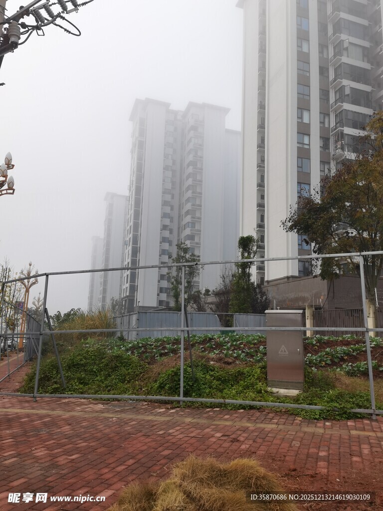 雾中高楼与围栏景观