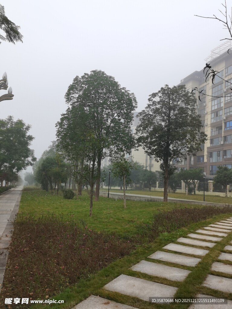 雨中校园小径景观