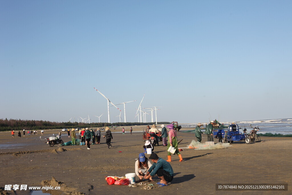 海边露营人群与风力发电机
