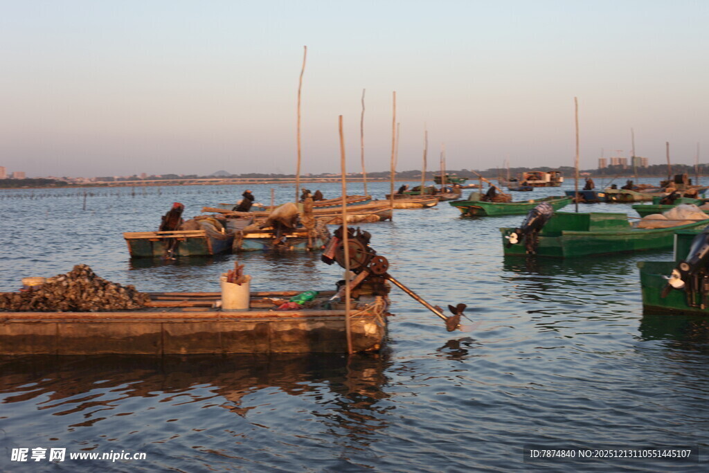 海边码头渔船与戏水场景