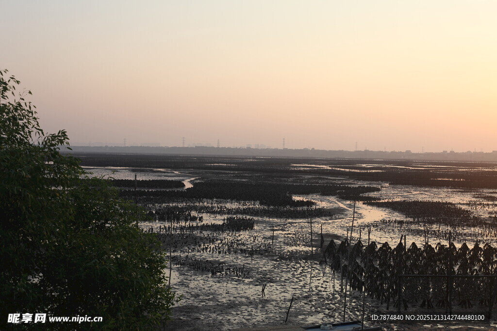 日落时分的湿地景观
