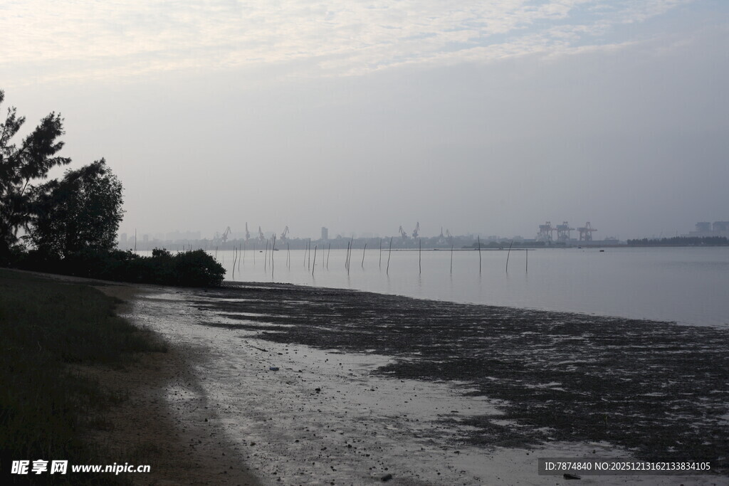 宁静湖畔岸边景色