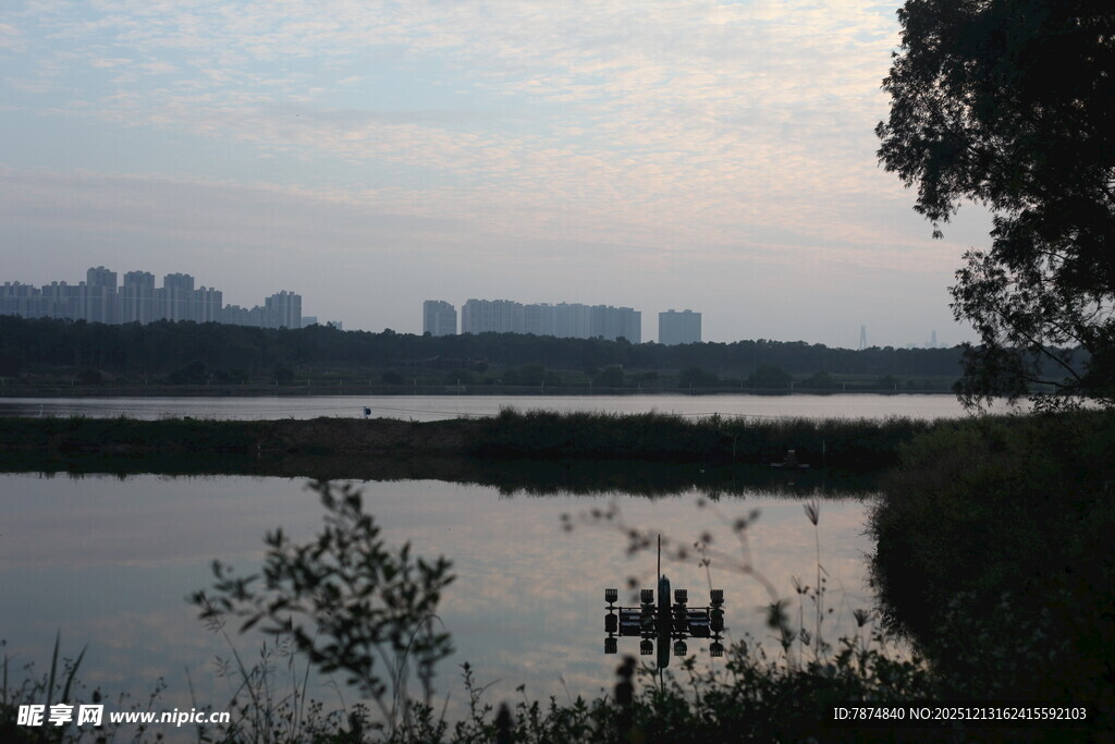 湖畔城市风光