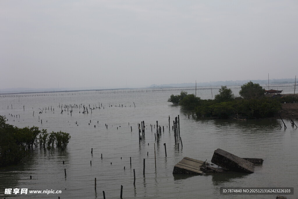 水上枯木与孤舟的景致