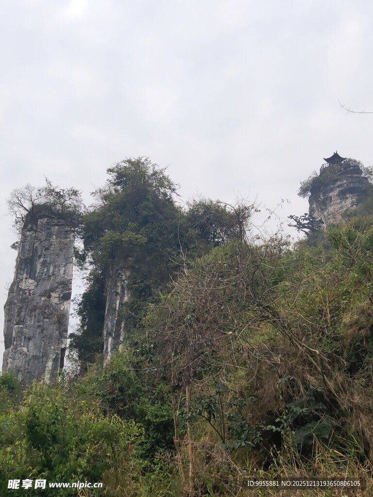 奇峰耸立的山林景观