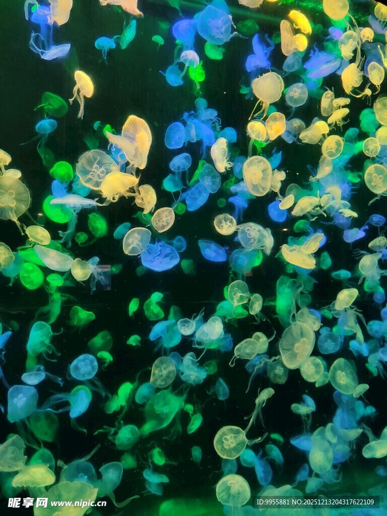 梦幻多彩抽象花卉图案